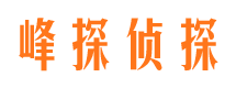 回民市场调查